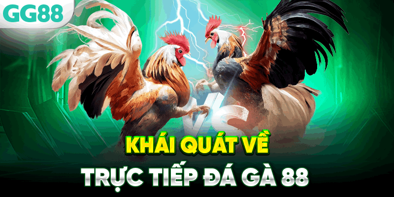 Khái quát về da ga truc tiep da ga 88