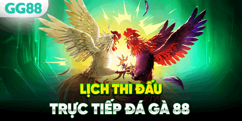 Lịch thi đấu đá gà trực tiếp daga88