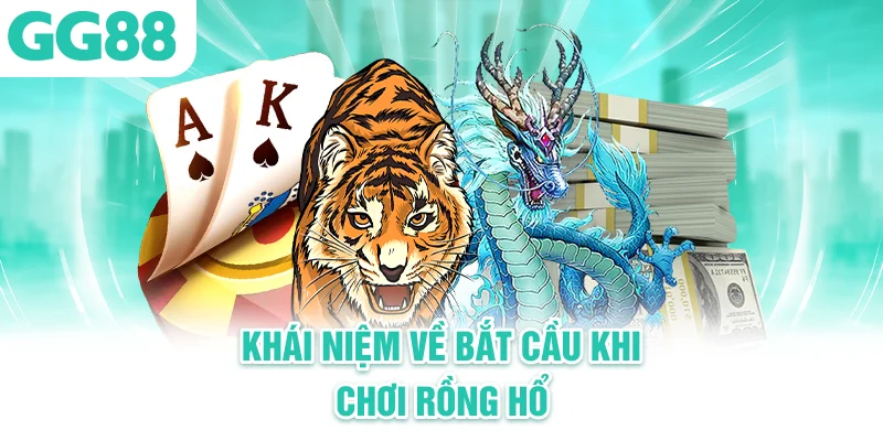 cách bắt cầu rồng hổ online
